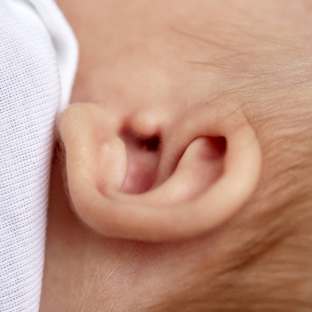 Ohren von Babys